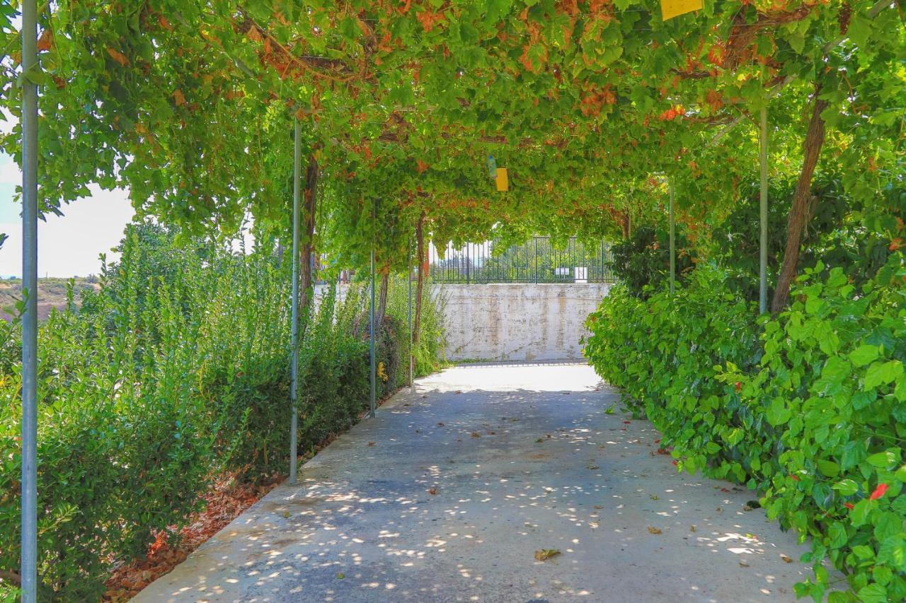 Villa Aphrodite Finiki Polis Exterior photo
